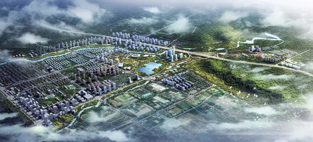 中醫(yī)藥產(chǎn)業(yè)新高地！西子電梯牢筑健康之基，聚力民生福祉